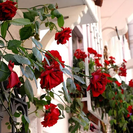 Hotel Darussaade Old - Sultanahmet