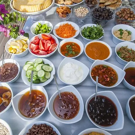 Darussaade Old - Sultanahmet 酒店 伊斯坦布尔